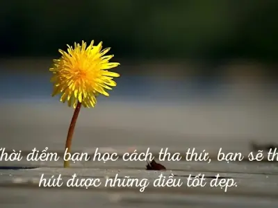Châm ngôn hay về cuộc sống ngắn gọn truyền cảm hứng