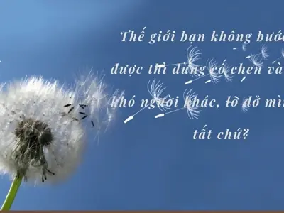 Châm ngôn ngắn về tình yêu truyền cảm hứng mỗi ngày