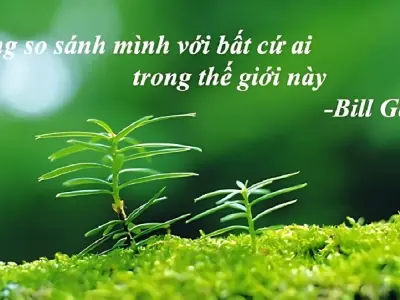 Những châm ngôn triết lý cuộc sống truyền cảm hứng mỗi ngày