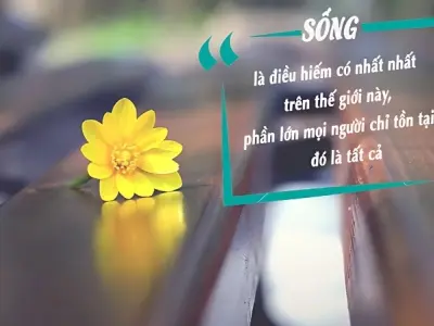 Top châm ngôn về cuộc đời đầy triết lý sâu sắc và thấm thía