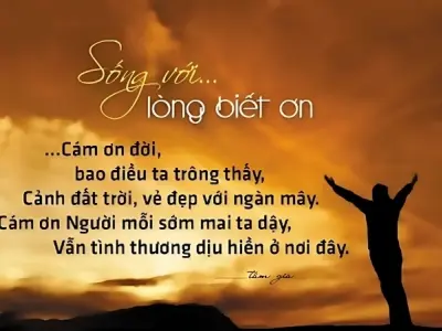Châm ngôn về lòng biết ơn trong cuộc sống truyền cảm hứng