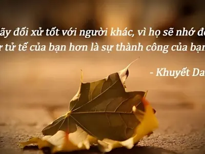 Top châm ngôn về lòng nhân ái giúp ta sống tốt hơn