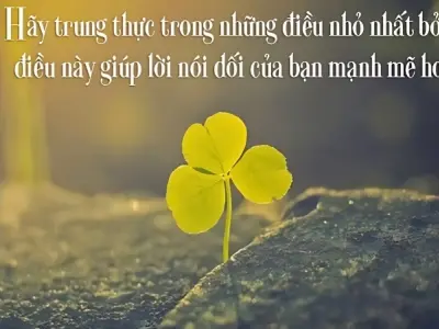 Những châm ngôn về lòng trung thành nổi tiếng mọi thời
