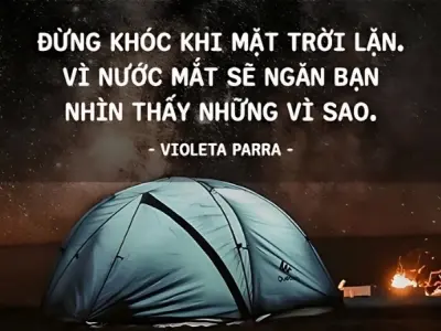 Châm ngôn về nghệ thuật sống giúp bạn tìm ý nghĩa cuộc đời