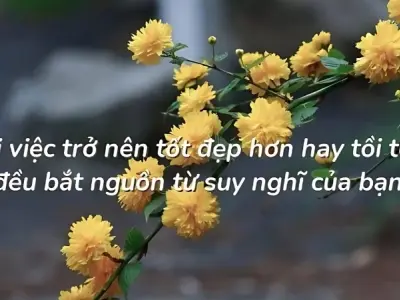 Top câu châm ngôn về nghị lực truyền cảm hứng mạnh mẽ