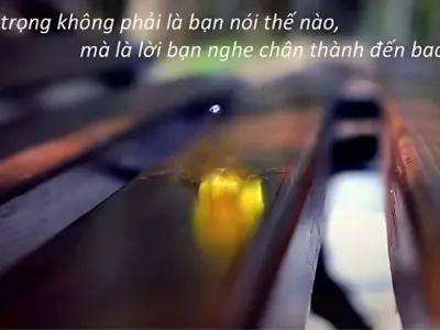 Những câu châm ngôn về sự chân thành đáng suy ngẫm