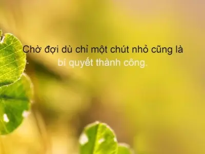 Châm ngôn về sự kiên nhẫn truyền cảm hứng cuộc sống