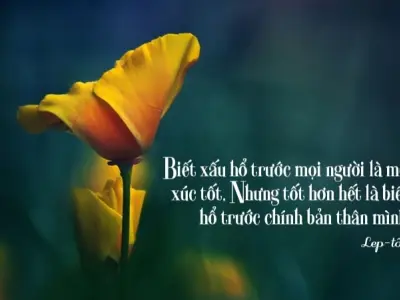 Châm ngôn về sự thẳng thắn giúp bạn sống chân thật hơn