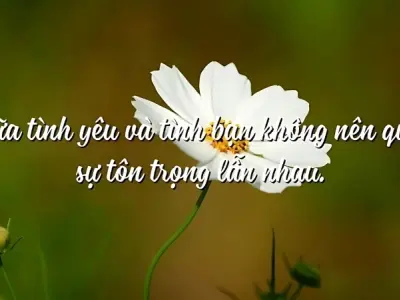 Top châm ngôn về sự tôn trọng sâu sắc và đáng suy ngẫm