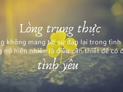 Châm ngôn về sự trung thực giúp xây dựng niềm tin vững chắc
