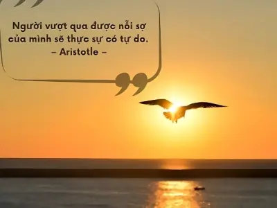 Những châm ngôn về sự tự do truyền cảm hứng mỗi ngày