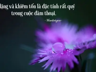 Top châm ngôn về thái độ sống tích cực thúc đẩy tinh thần