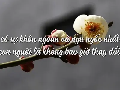 Những châm ngôn về trí tuệ sâu sắc truyền cảm hứng sống