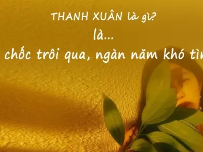 Châm ngôn về tuổi trẻ giúp bạn định hướng tương lai