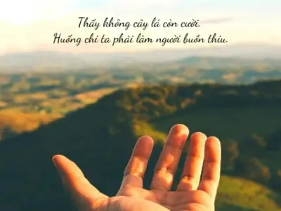 Top stt cảm xúc lạc quan giúp bạn vượt qua khó khăn