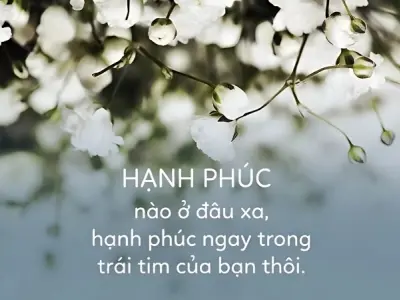 Tổng hợp những stt hạnh phúc giản đơn mỗi ngày nên đọc