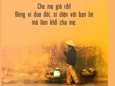 Tổng hợp những stt hay về cha mẹ làm ấm lòng mọi người