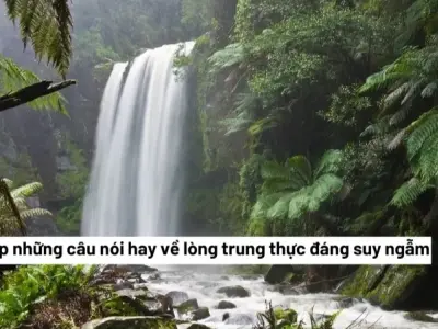 Top stt hay về sự trung thực giúp bạn sống chân thành hơn
