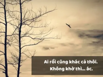 Tổng hợp những stt ngắn về cuộc sống hay và ý nghĩa