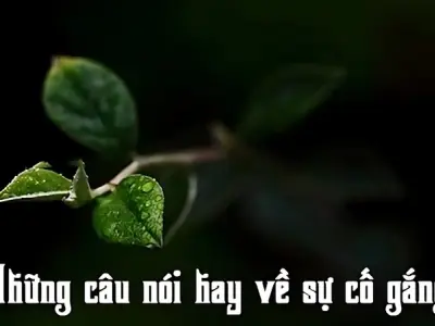 Gợi ý stt nói về sự kiên trì dành cho tuổi trẻ năng động