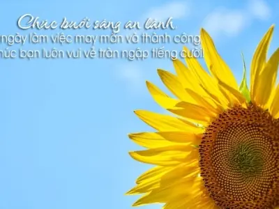 Những stt về ngày mới nhẹ nhàng cho tâm hồn thư thái