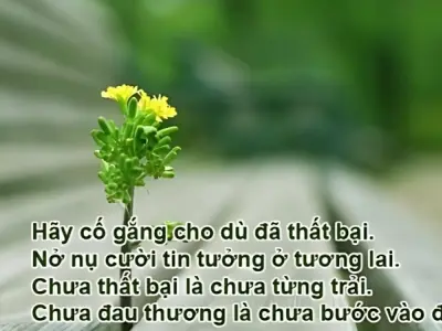 Những stt về nghề nghiệp sâu sắc khiến ai cũng đồng cảm