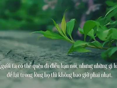 Những stt về sự cố gắng giúp bạn vượt qua khó khăn