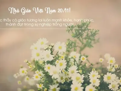 Tổng hợp stt về thầy cô giáo cảm động và sâu sắc nhất