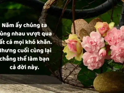 Tổng hợp stt về tình bạn thân chân thành và cảm động