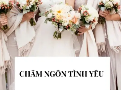 Top châm ngôn tình yêu chữa lành tim người thất vọng