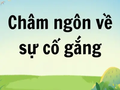 Châm ngôn về sự cố gắng cho hành trình thành công