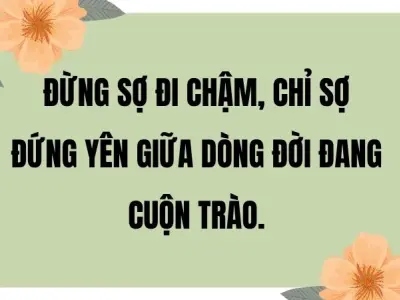 Những câu nói hay về cuộc sống khiến bạn thay đổi tư duy