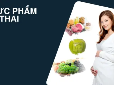 3 tháng đầu ăn gì để thai nhi bám chắc và mẹ giảm nghén?
