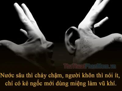 100 Câu Nói Về Sự Ngu Dốt Giúp Bạn Tỉnh Ngộ Sâu Sắc