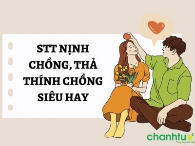 100+ Status Nịnh Chồng Hài Hước và Ngọt Ngào Cho Mọi Tình Huống
