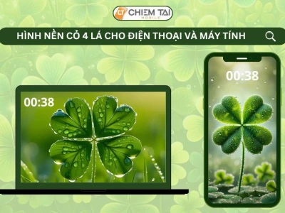 Bộ sưu tập hình nền cỏ 4 lá may mắn avatar đẹp cho năm 2026