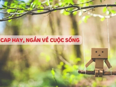 BST Câu Status Hay Nhất Về Tình Yêu, Cuộc Sống Và Công Việc Năm 2026