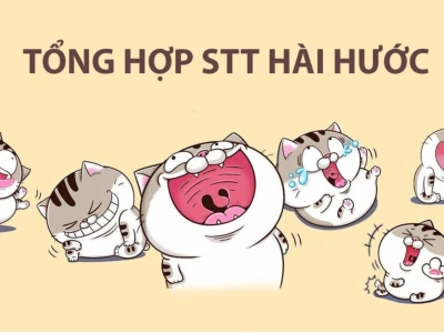 BST stt hay hài hước 2026: Câu like, thả thính, chất như nước cất
