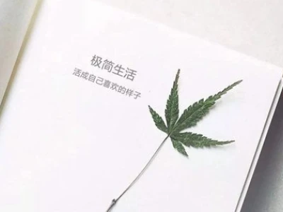 Caption tiếng Trung hay và ý nghĩa cho mọi tình huống