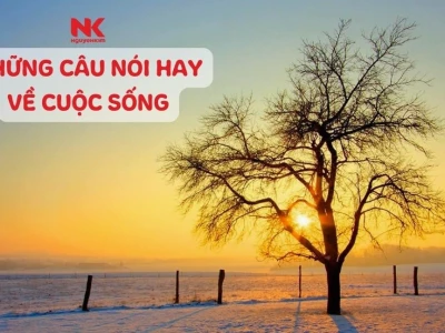 Châm ngôn cuộc sống tích cực truyền cảm hứng và bài học ý nghĩa