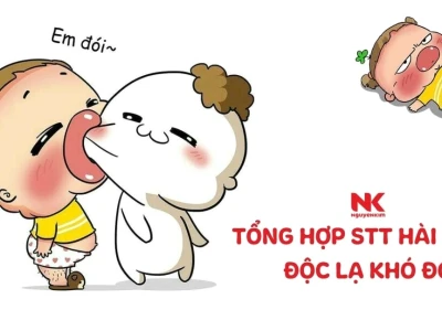 Khám phá kho tàng câu nói meme hài hước bất tận