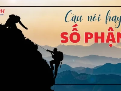 Khám phá những câu nói hay về căn số và ý nghĩa cuộc đời