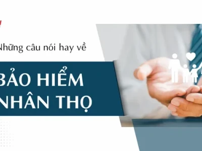 Những câu nói hay về bảo hiểm nhân thọ truyền cảm hứng và kiến thức