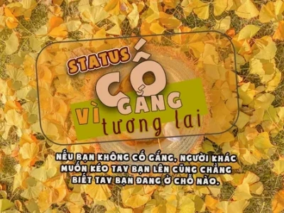 Những câu nói hay về làm việc hết mình và nỗ lực vươn lên