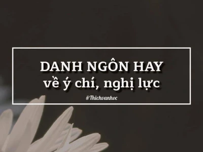 Những câu nói hay về ý chí nghị lực tạo động lực vượt qua thử thách