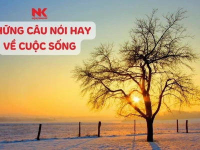 Những câu triết lý hay về cuộc sống giúp tâm trạng tốt hơn năm 2026