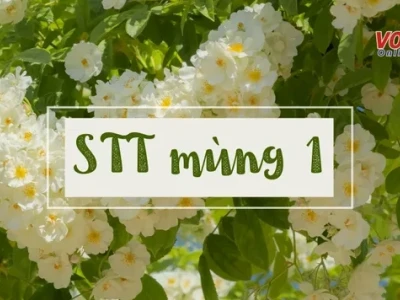 Những Status Mùng 1 Đầu Tháng Hài Hước Nhất Năm 2026