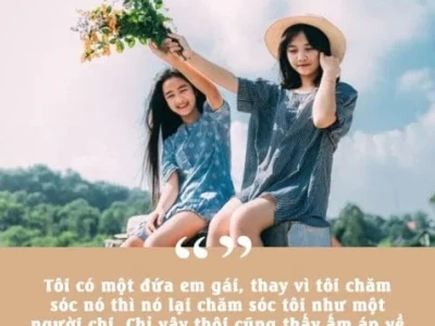 STT Chị Em Cây Khế: Những Câu Nói Ngắn Gọn, Hài Hước và Sâu Sắc