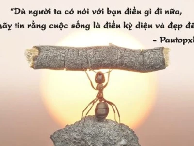 Stt cố gắng vì mục tiêu: Động lực vượt khó và chinh phục thành công