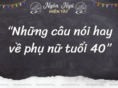 STT Hay Cho Tuổi 40: Vẻ Đẹp, Sự Trưởng Thành và Những Lời Tự Sự